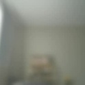 rose69904260's Profile Picture
