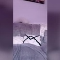 royerfranck29's Profile Picture