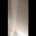 rrvv19997's Profile Picture