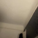 ryanandlaura2019's Profile Picture