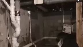 최근 스크린샷 ryderharder2512