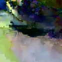 s0ftedge's Profile Picture