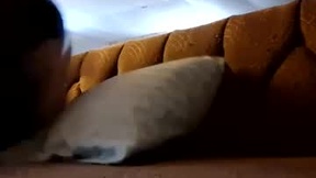 Recent Screenshot of  s49309