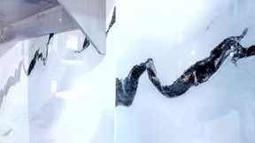 Recent Screenshot of  salem_rosee