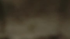 Recent Screenshot of  salomevivas1