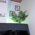 samarahanss's Profile Picture
