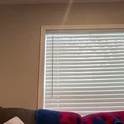 sammieplays's Profile Picture