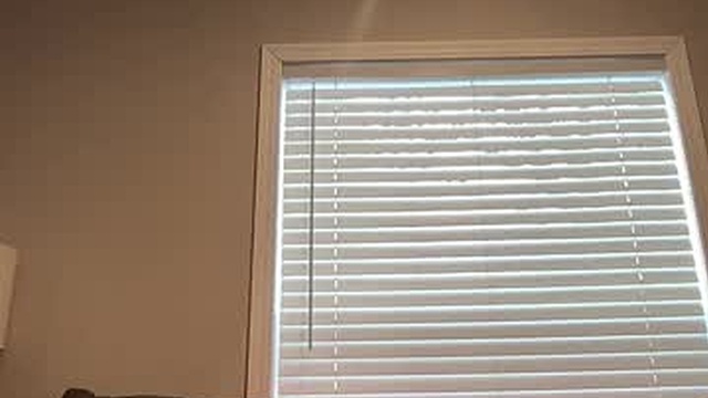 sammieplays