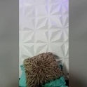 sara_moham's Profile Picture