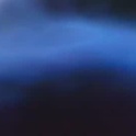 sasha_david_tay's Profile Picture