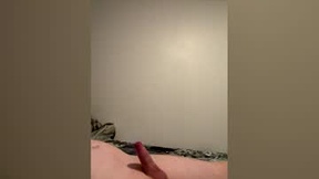 Recent Screenshot of  scousechat