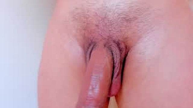 sebas_n