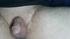 Recent Screenshot of  sebastien686492