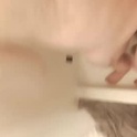 shalomber's Profile Picture