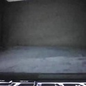 shamefullyshort's Profile Picture