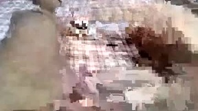 Recent Screenshot of  shamrinas