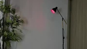 Recent Screenshot of  shazamairet