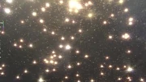 Recent Screenshot of  shellyboom