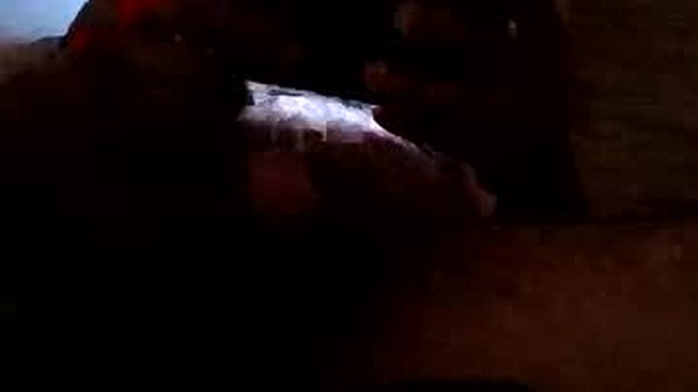 shemalefucker966701