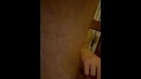 Recent Screenshot of  shfailer