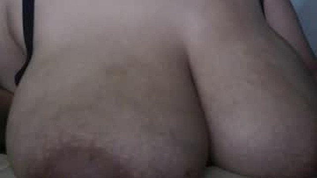 shopie_hank