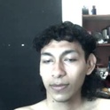 shybrownwolf's Profile Picture