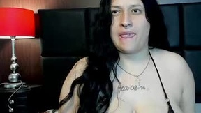 لقطة شاشة حديثة لـ sienastorn