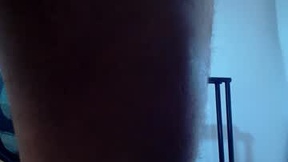 Recent Screenshot of  silvabranko