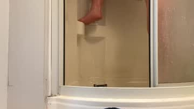 sirenswallow