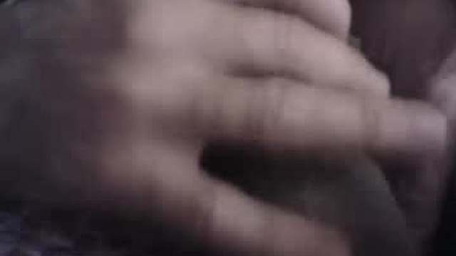 sisp