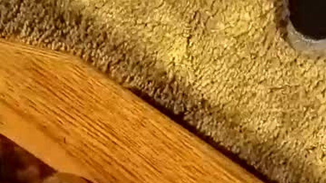 skippytwoshoez