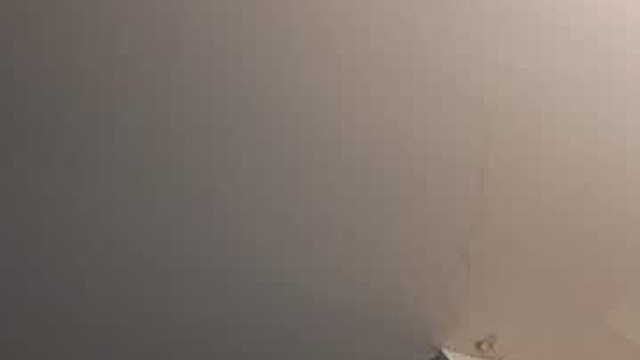 slicous9