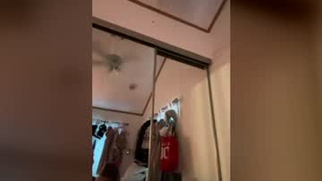 sluttysunnypcb