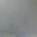 smith_and_mia's Profile Picture