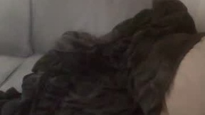 Recent Screenshot of  snowboard503