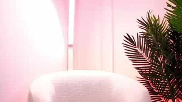 sofiaremy