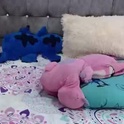 sofiiadreams's Profile Picture
