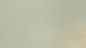 Aktueller Screenshot von sophiebloom_