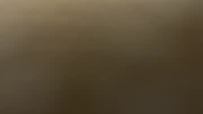 Recent Screenshot of  sparky13679108