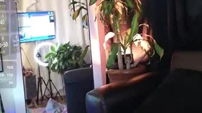 Recent Screenshot of  spicy_redx