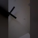 spicyalexis's Profile Picture