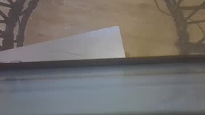 Recent Screenshot of  spicybobolishia_