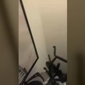 spicygirlyx's Profile Picture
