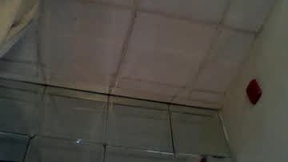 Recent Screenshot of  splassh1