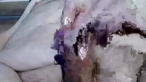 Recent Screenshot of  spyderdan