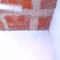 squirt_dirty_anal's Profile Picture