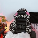 squishballs's Profile Picture