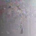 sss591508's Profile Picture