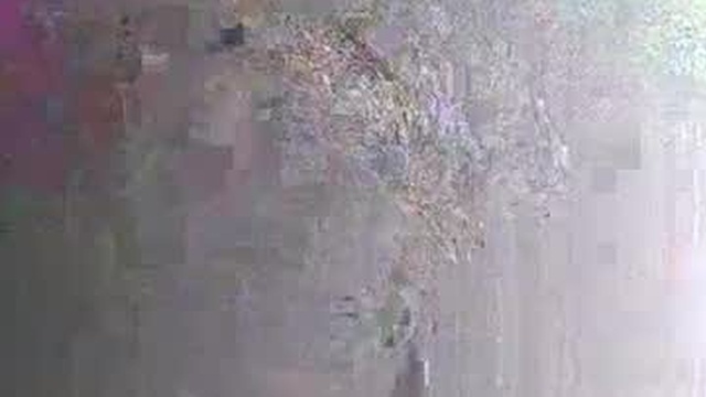 sss591508