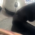 stacisavige's Profile Picture